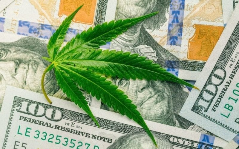 four reasons cannabis legalization is good for the economy