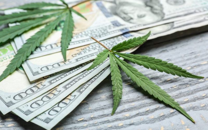 cannabis leaves with currency notes - New Jersey Business Magazine