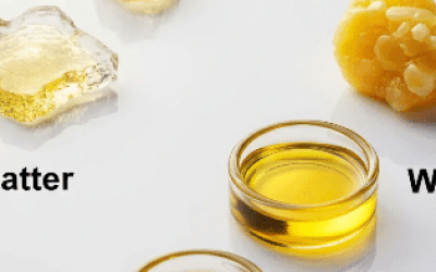 Different Type of Bho Extraction