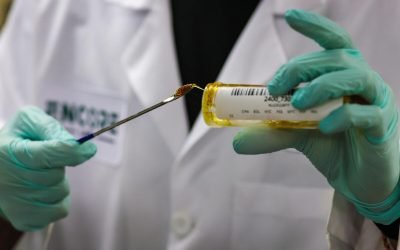 cannabis testing - latimes.com