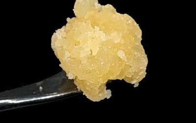 CBD Hemp Direct