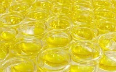 Capatilizing on Cannabis Distillates' Surging Popularity