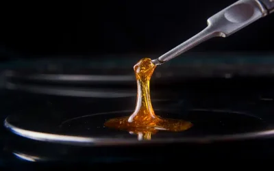 Solventless Extraction Process for High-Quality Extracts